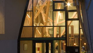 canyon chorweiler night light