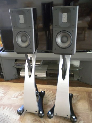 Raidho Acoustics D1.1 Reference Monitors, Stands Included