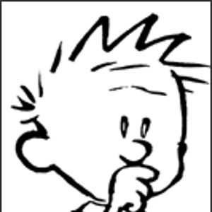 Robin Avatar