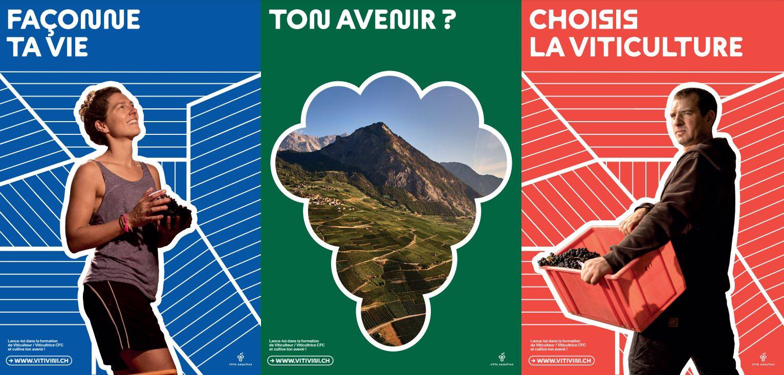 Image campagne vitivini