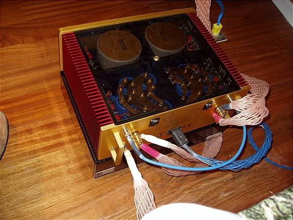 Biwired bridged Stereo Amp