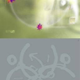 list image
