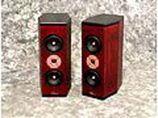 Tyler Acoustics D3M's in custom cherry! special $1500 s...