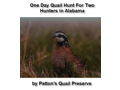 One Day Quail Hunt For Two Hunters in Alabama