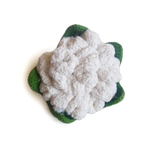 GROENTE Haakpatroon PDF: bloemkool merg groene ui radijs paprika Amigurumi Eten Speel Eten Patroon Amigurumi Speelgoed Pretend Play