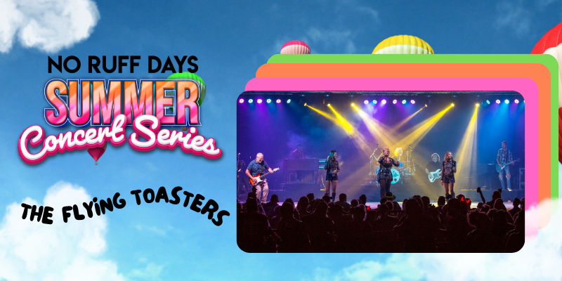 Summer Concert Series: The Flying Toasters promotional image