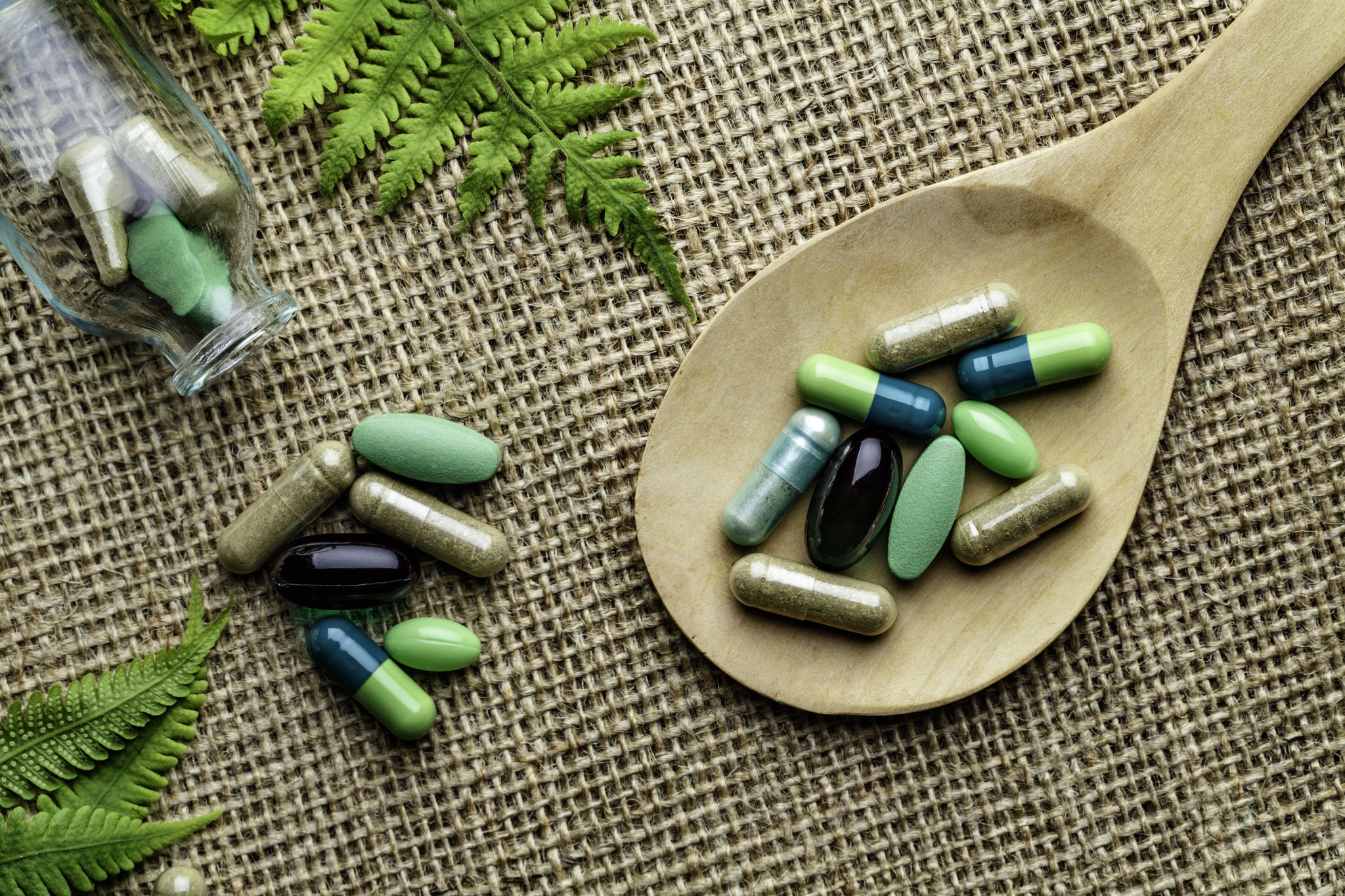 How to Build a Holistic Bartonella Treatment Plan