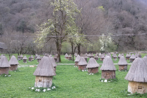 Гастрономический тур в Абхазию
