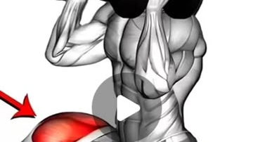 Main Content Image