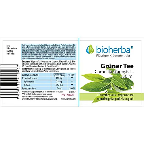 Grüner Tee, Camellia sinensis L., Tropfen, Tinktur 50 ml