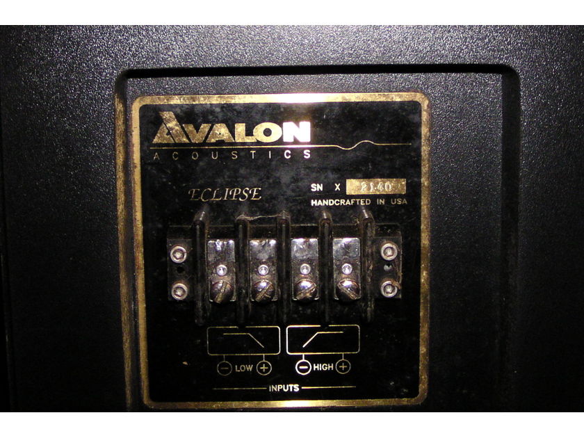 Avalon Eclipse Loudspeakers