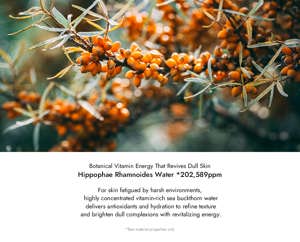 Pepta-Biome Antioxidant SargaX-Pro Vegan Ampoule