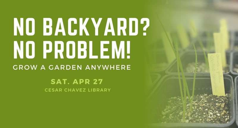 No Backyard? No Problem! : Grow a Garden Anywhere