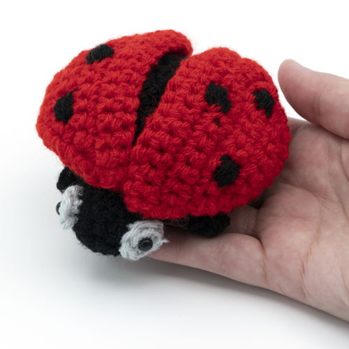 Amigurumi Ladybug