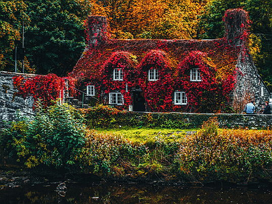  Belgium
- Voici de bons conseils pour préparer votre maison pour l'automne. Ne laissez aucune chance à l'humidité et à l'obscurité ! En savoir plus dans le blog.
