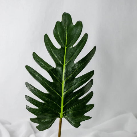 Large Xanadoo Leaf - Realistic Artificial Flowers and Greenery - Image 3