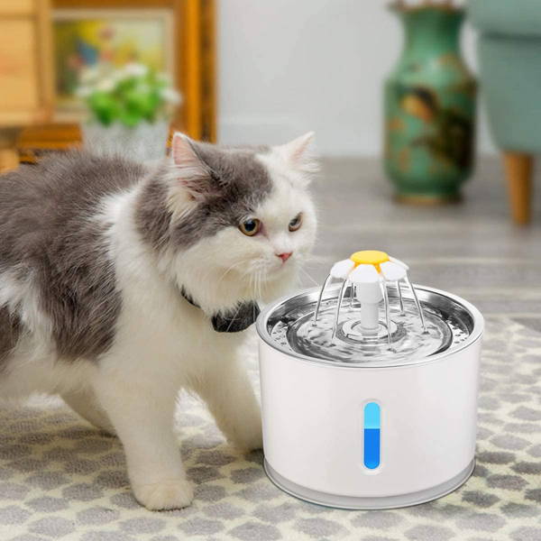 Water fountain for cats