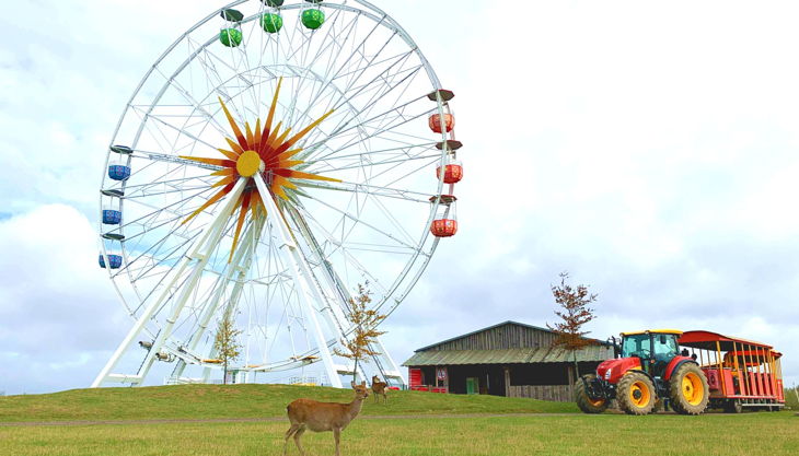 riesenradparkbahn im sonnenlandpark web