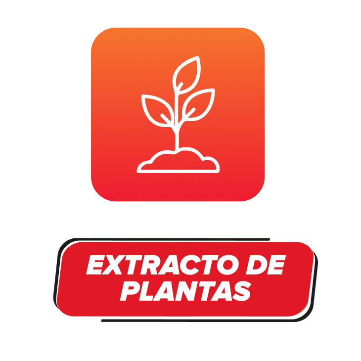 EXTRACTO DE PLANTAS