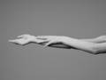 model's arm