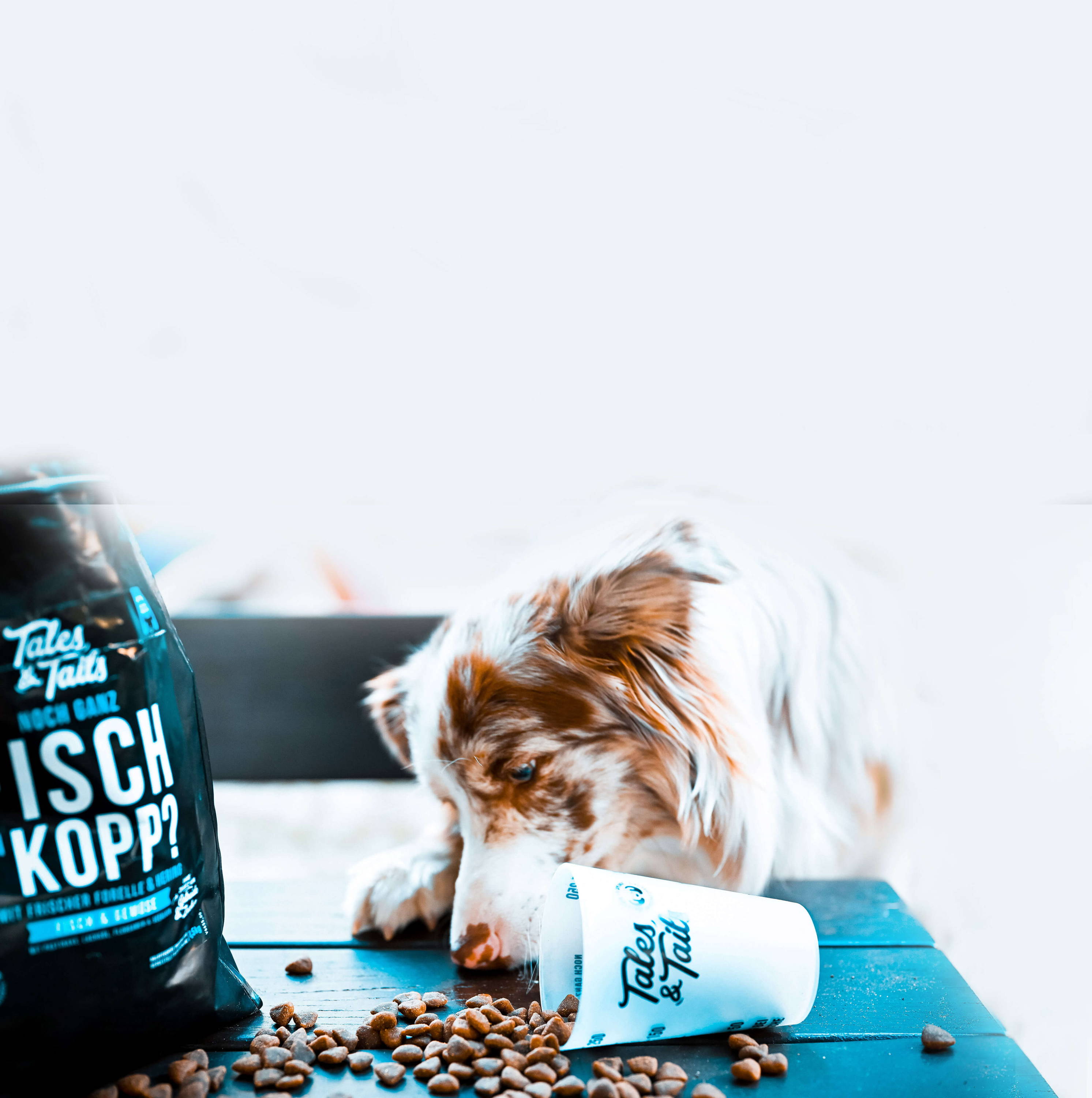 katzenstreu staubfrei Tofu (Soja) Katzenstreu 9 kg (3 Säcke je 3 kg), 24 L – natürlich & bio