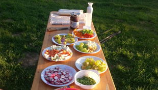 bauernhof gut halfeshof a kühe auf weide vorm hof