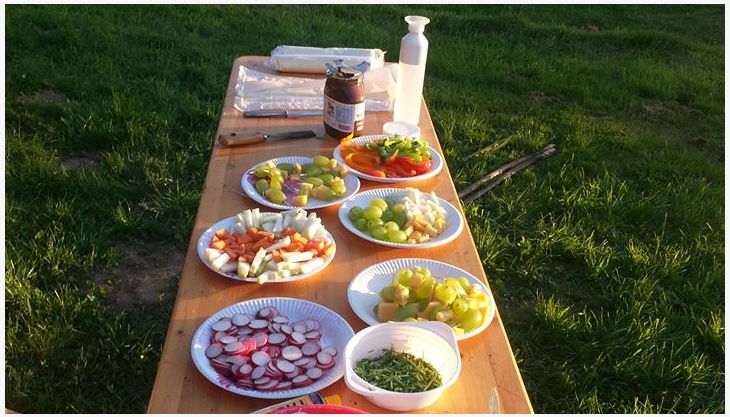 bauernhof gut halfeshof a kühe auf weide vorm hof