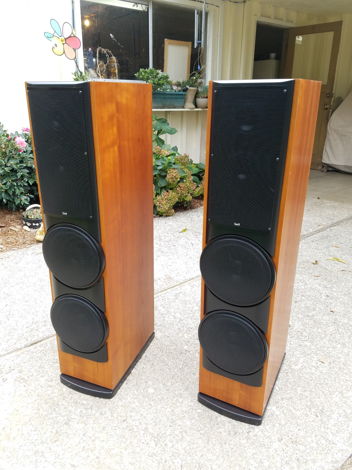 Snell xa60 Loudspeakers Local Pickup Only