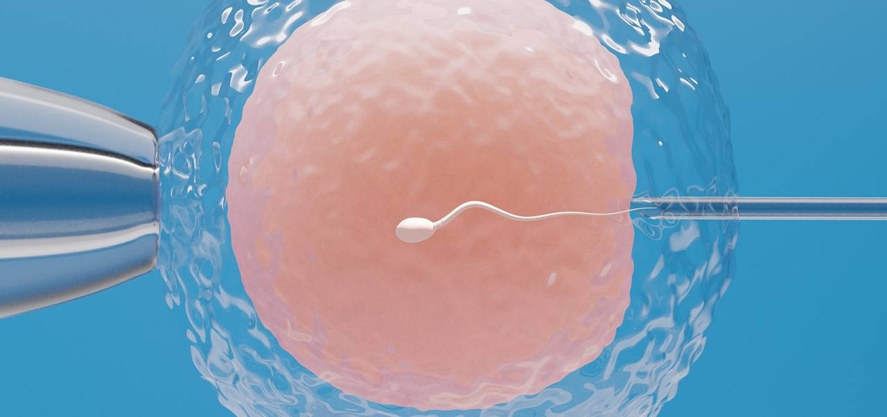 Spermium, das in eine Eizelle injiziert wird