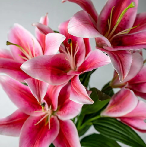 Dark Pink Oriental Lily - Realistic Artificial Flowers - Image 3