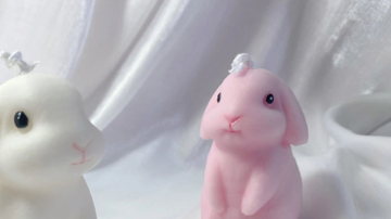 Main Content Image