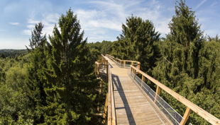 panabora baumwipfelpfad