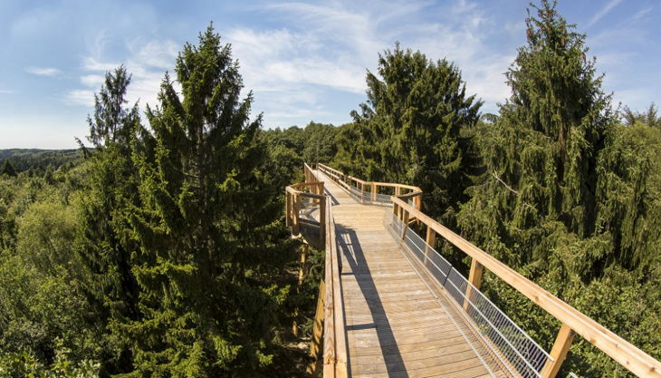 panabora baumwipfelpfad