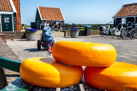 Dutch Countryside Day Tour: Zaanse Schans & Giethoorn from Amsterdam