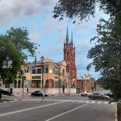 Цветы Самарского модерна