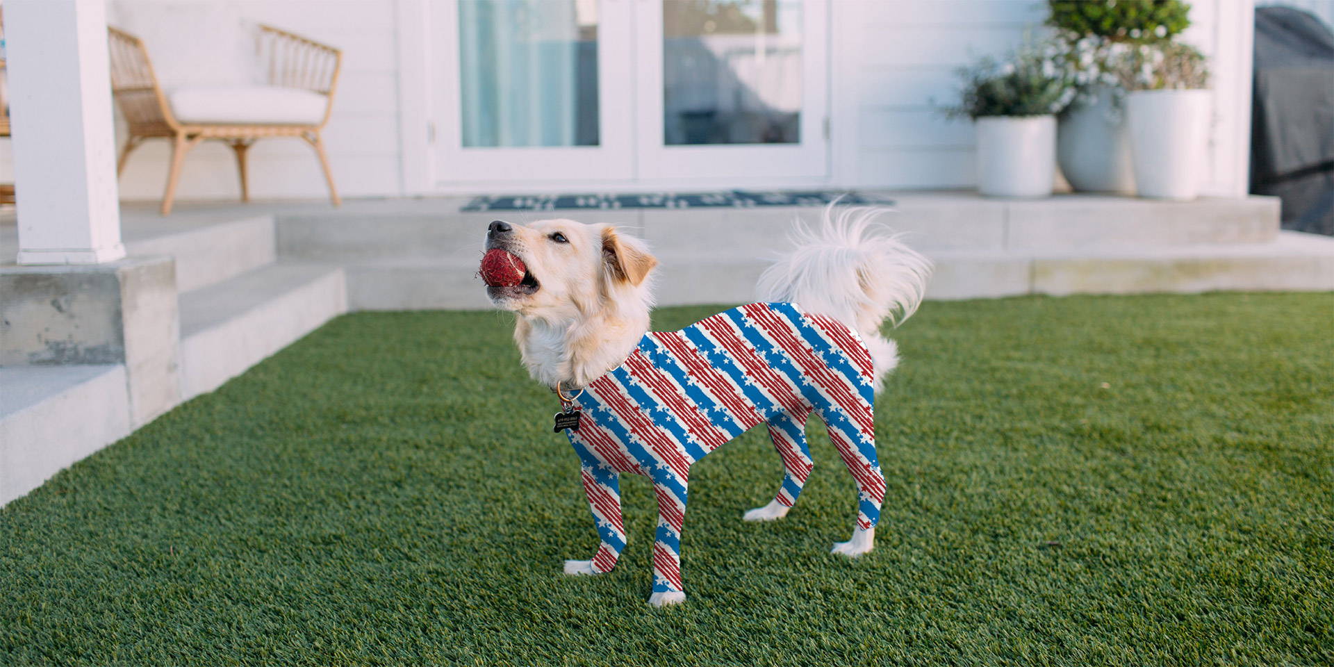 Shed Defender® Dog Onesies Contains Shedding & Reduces Anxiety