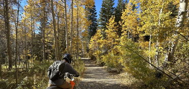 Lake Tahoe Tour near South Lake Tahoe, CA