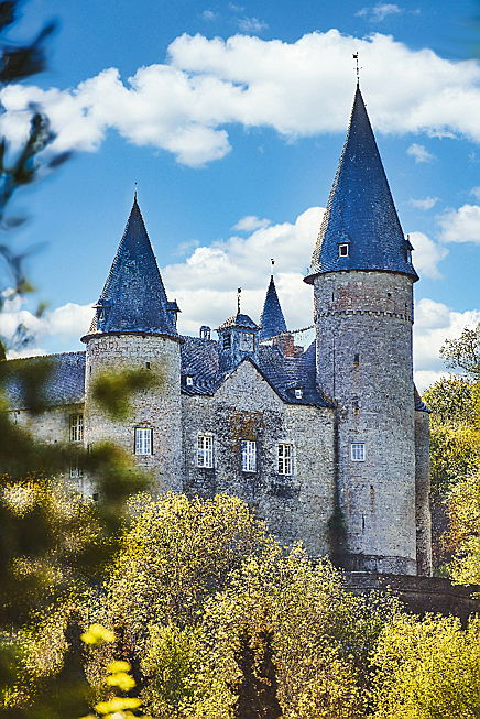  België
- Château de Vêves