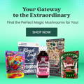 Shop best magic mushroom gummies- Road trip, Tre house, Wunder