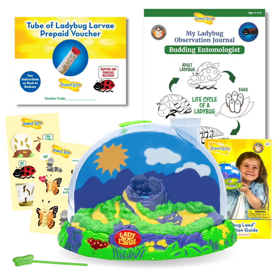 Ladybug Land Habitat, Ladybug STEM Journal, Tube of Ladybug Larvae, Water Dropper