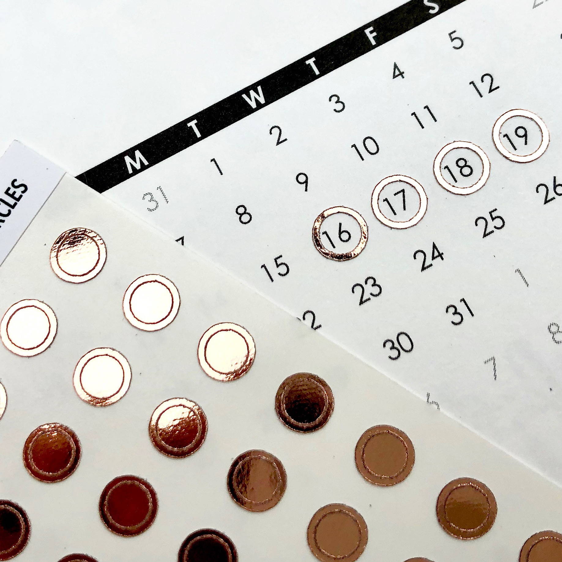 foiled planner sticker date circles rose gold