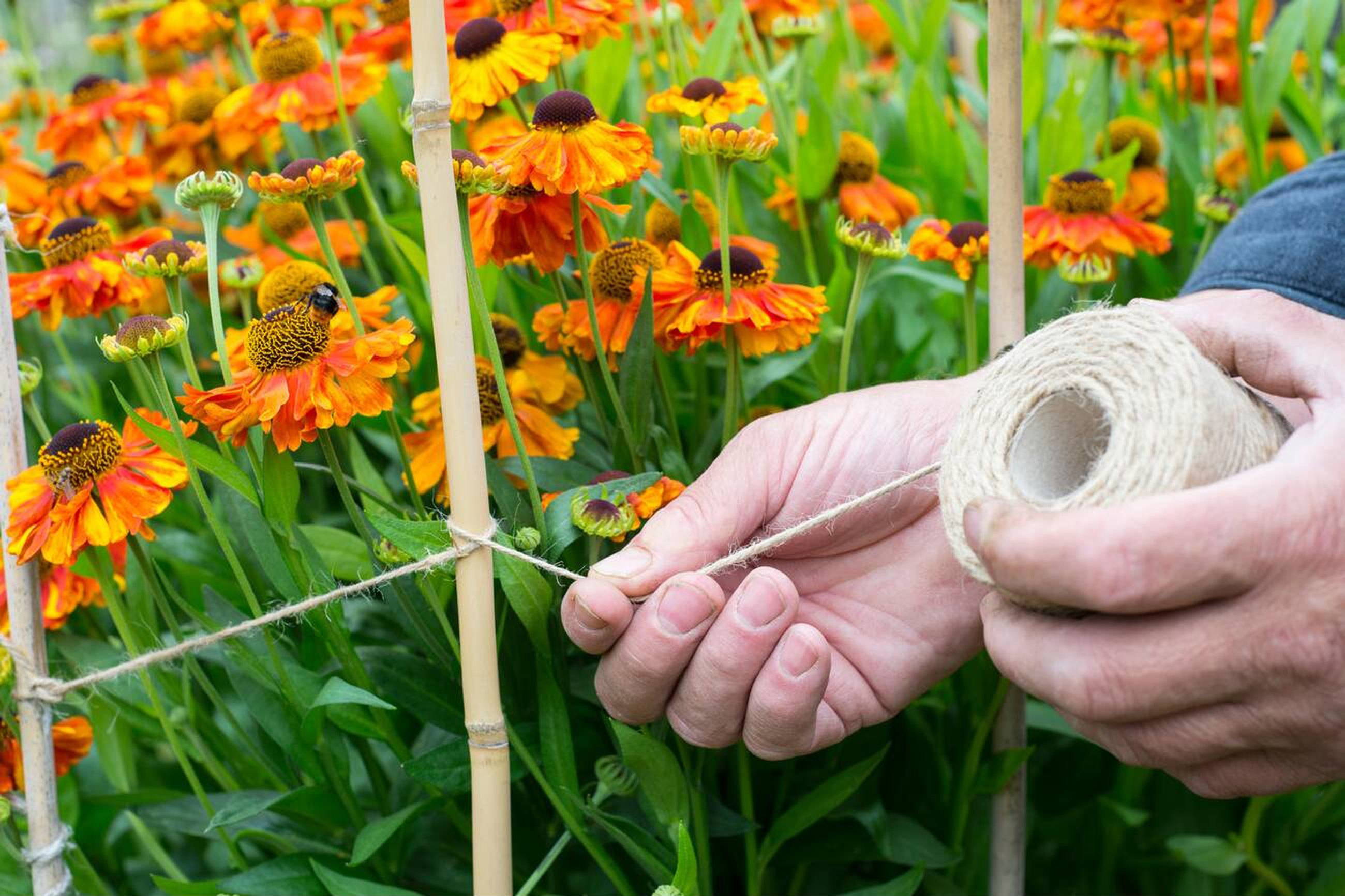 wrapping twine