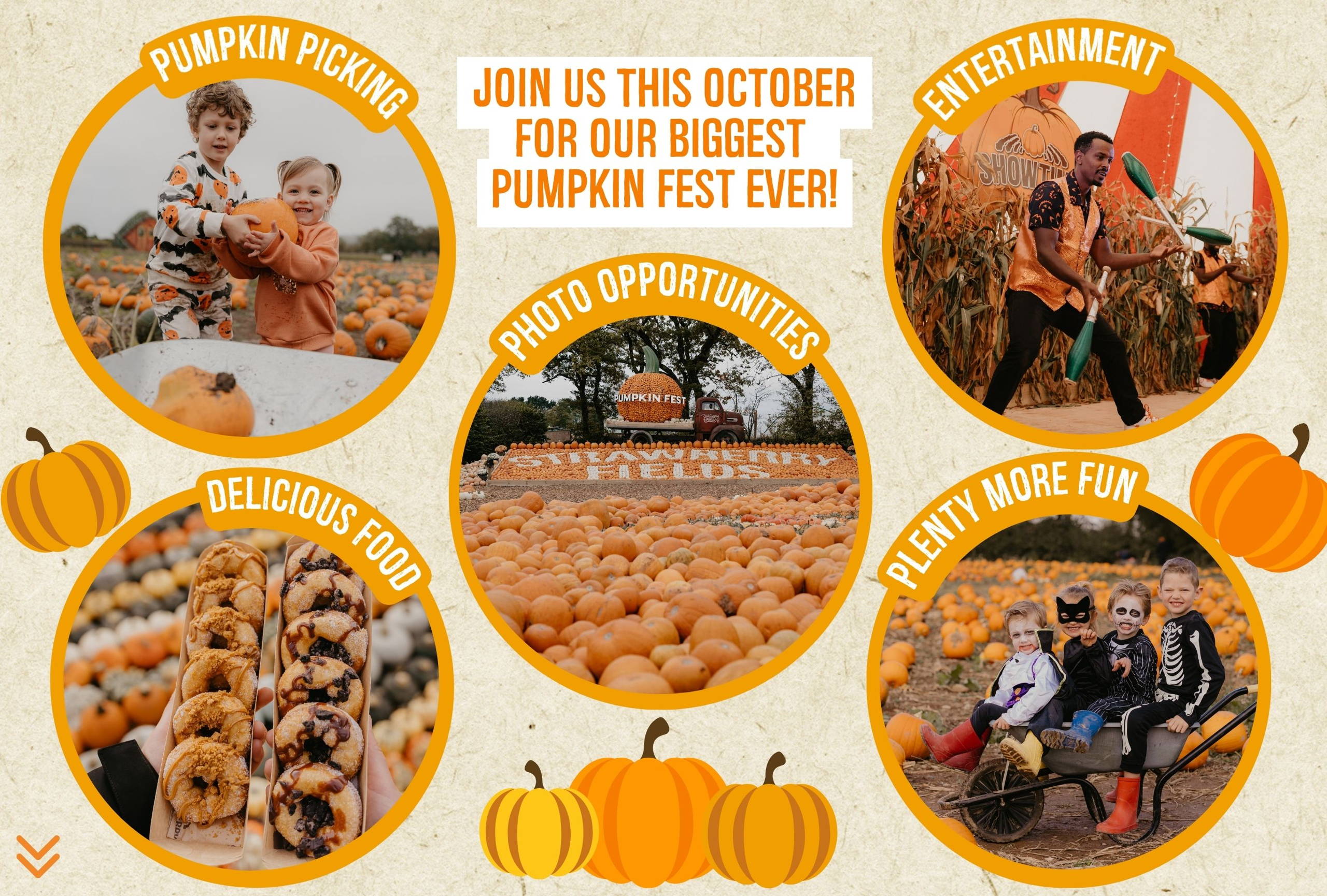 Discover the biggest and best pumpkin festival in Devon & Cornwall, and South West! Pumpkin Fest at Strawberry Fields is the ultimate family day out with a huge pumpkin patch, pumpkin picking, maize maze, barrel train rides, photo spots, tasty autumn treats & fun for all ages. Book now!