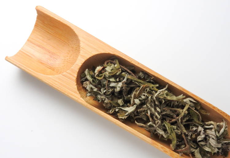 よもぎ 茶とは