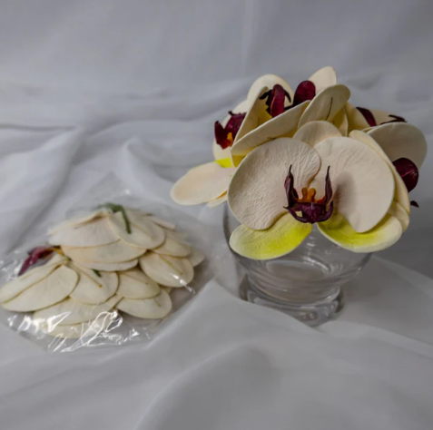White, Pink and Green Phalaenopsis Flowerhead ( 6 Pack ) - Realistic Artificial Flowers - Image 2