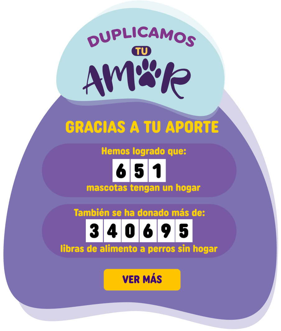Donaciones - Duplicamos tu amor