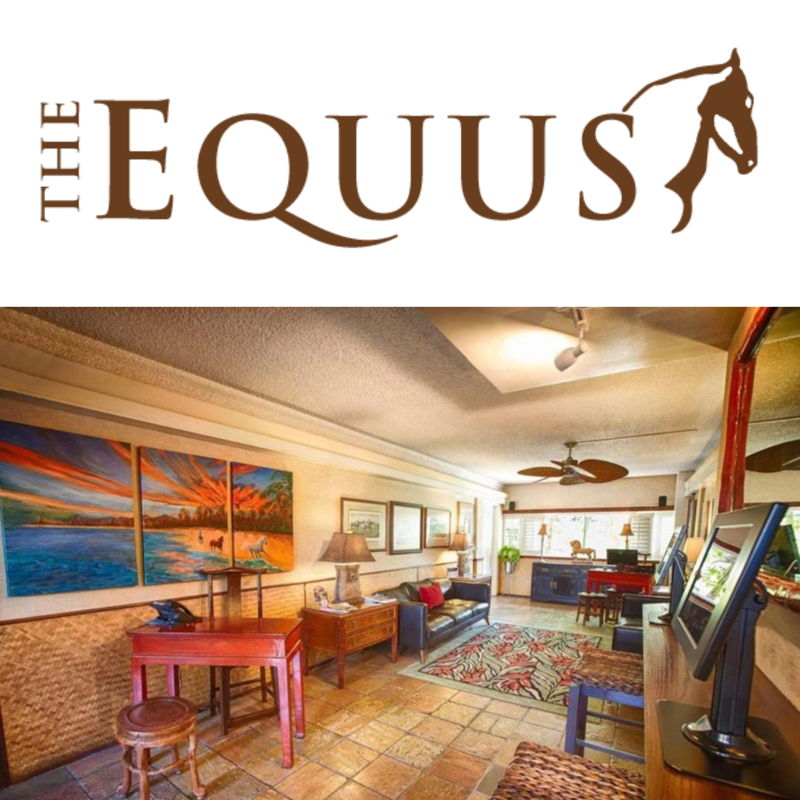 The Equus Hotel cover