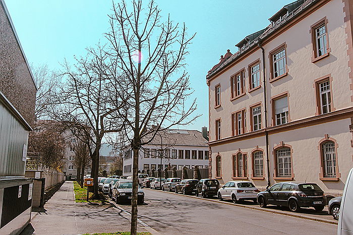  Würzburg
- IMG_9257.png