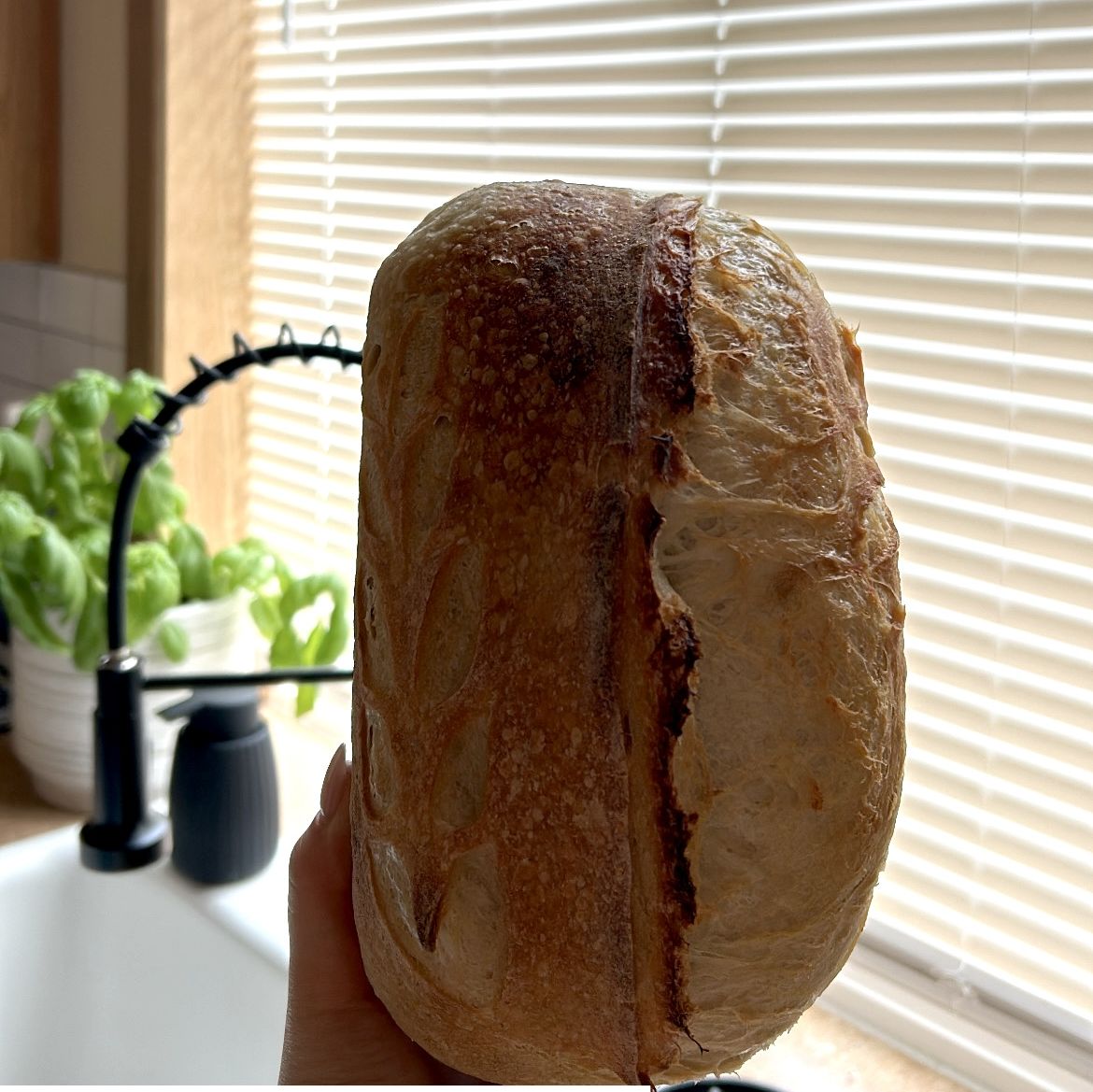 Alyssa | Sourdough microbakery🌾 | Maple Valley, Black Diamond — photo from hotplate.com