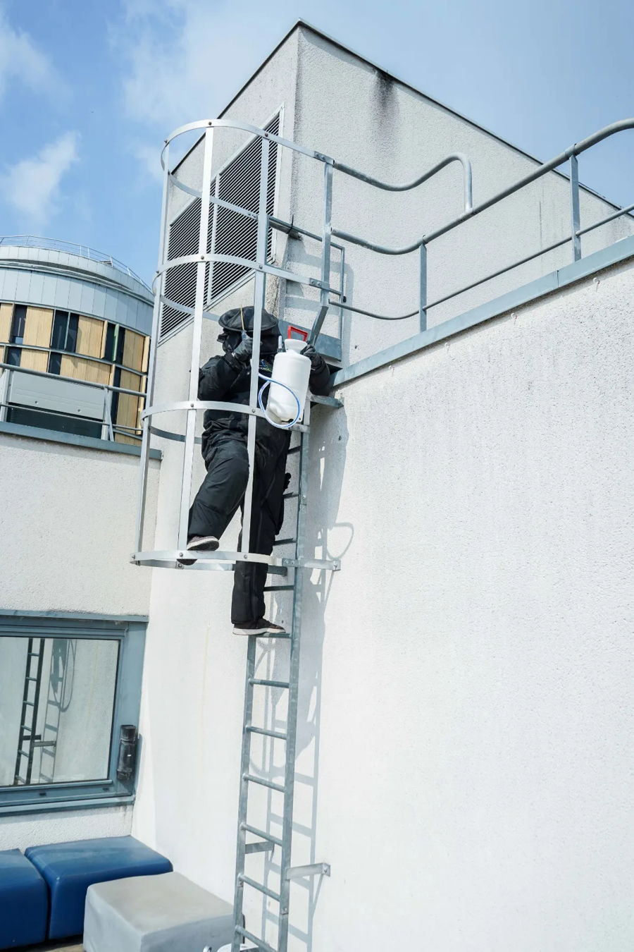 Intervention frelons à Clichy : une expertise essentielle — photo 5